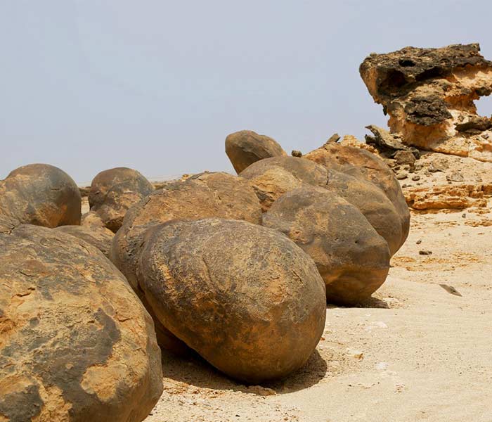 Al Taaruf International-oman